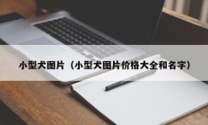 小型犬图片（小型犬图片价格大全和名字）