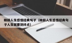 精辟人生感悟经典句子（精辟人生感悟经典句子人生就要到终点）