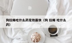 狗拉稀吃什么药见效最快（狗 拉稀 吃什么药）