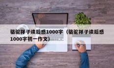 骆驼祥子读后感1000字（骆驼祥子读后感1000字初一作文）