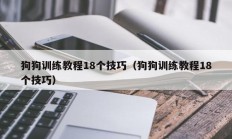 狗狗训练教程18个技巧（狗狗训练教程18个技巧）