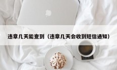 违章几天能查到（违章几天会收到短信通知）