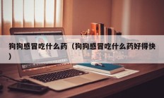 狗狗感冒吃什么药（狗狗感冒吃什么药好得快）