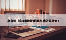 皂角树（皂角树刺的作用与功效是什么）