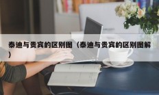 泰迪与贵宾的区别图（泰迪与贵宾的区别图解）