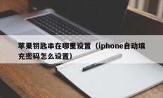 苹果钥匙串在哪里设置（iphone自动填充密码怎么设置）