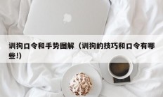 训狗口令和手势图解（训狗的技巧和口令有哪些!）