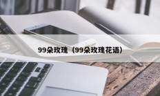 99朵玫瑰（99朵玫瑰花语）