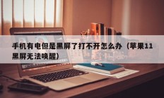 手机有电但是黑屏了打不开怎么办（苹果11黑屏无法唤醒）