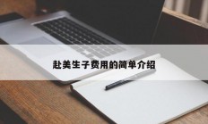 赴美生子费用的简单介绍