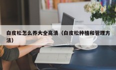 白皮松怎么养大全高清（白皮松种植和管理方法）