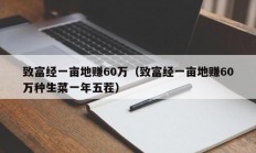 致富经一亩地赚60万（致富经一亩地赚60万种生菜一年五茬）