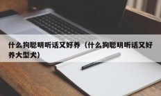 什么狗聪明听话又好养（什么狗聪明听话又好养大型犬）