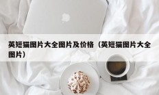 英短猫图片大全图片及价格（英短猫图片大全图片）