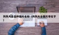 狗狗大全品种图片名称（狗狗大全图片带名字）