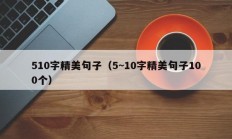 510字精美句子（5~10字精美句子100个）