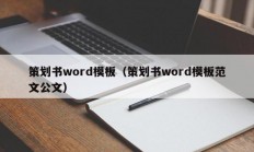 策划书word模板（策划书word模板范文公文）