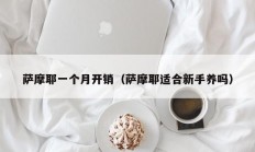 萨摩耶一个月开销（萨摩耶适合新手养吗）