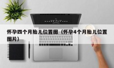 怀孕四个月胎儿位置图（怀孕4个月胎儿位置图片）