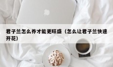 君子兰怎么养才能更旺盛（怎么让君子兰快速开花）