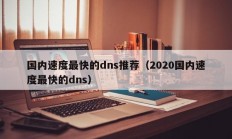 国内速度最快的dns推荐（2020国内速度最快的dns）