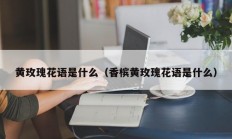 黄玫瑰花语是什么（香槟黄玫瑰花语是什么）