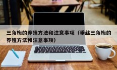 三角梅的养殖方法和注意事项（垂丝三角梅的养殖方法和注意事项）