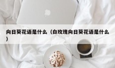 向日葵花语是什么（白玫瑰向日葵花语是什么）