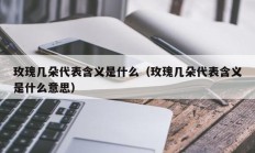 玫瑰几朵代表含义是什么（玫瑰几朵代表含义是什么意思）