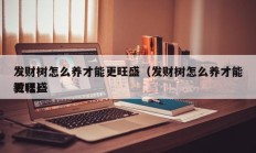 发财树怎么养才能更旺盛（发财树怎么养才能更旺盛
教程）