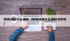 炖鸡汤放什么调料（炖鸡汤放什么调料才好吃）