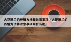 大花蕙兰的养殖方法和注意事项（大花蕙兰的养殖方法和注意事项用什么肥）