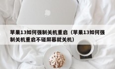 苹果13如何强制关机重启（苹果13如何强制关机重启不碰屏幕就关机）