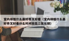 室内绿植什么最好养又好看（室内绿植什么最好养又好看什么时间放出二氧化碳）