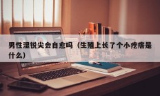 男性湿锐尖会自愈吗（生殖上长了个小疙瘩是什么）