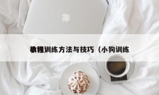 小狗训练方法与技巧（小狗训练
教程）