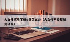 大文件拷贝不进u盘怎么办（大文件不能复制到硬盘）