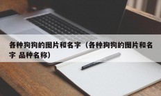 各种狗狗的图片和名字（各种狗狗的图片和名字 品种名称）