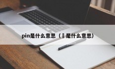 pin是什么意思（玭是什么意思）